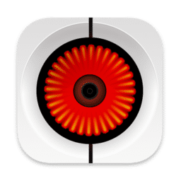 Focus Dashcam Organizer